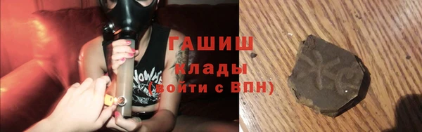 прущие грибы Пересвет